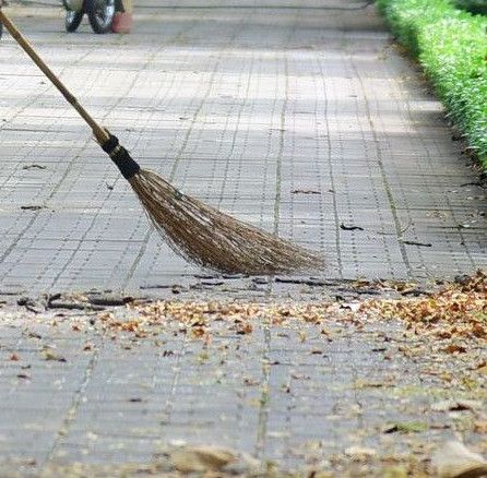 A street cleaner sweeping leaves in an urban park setting during the day.